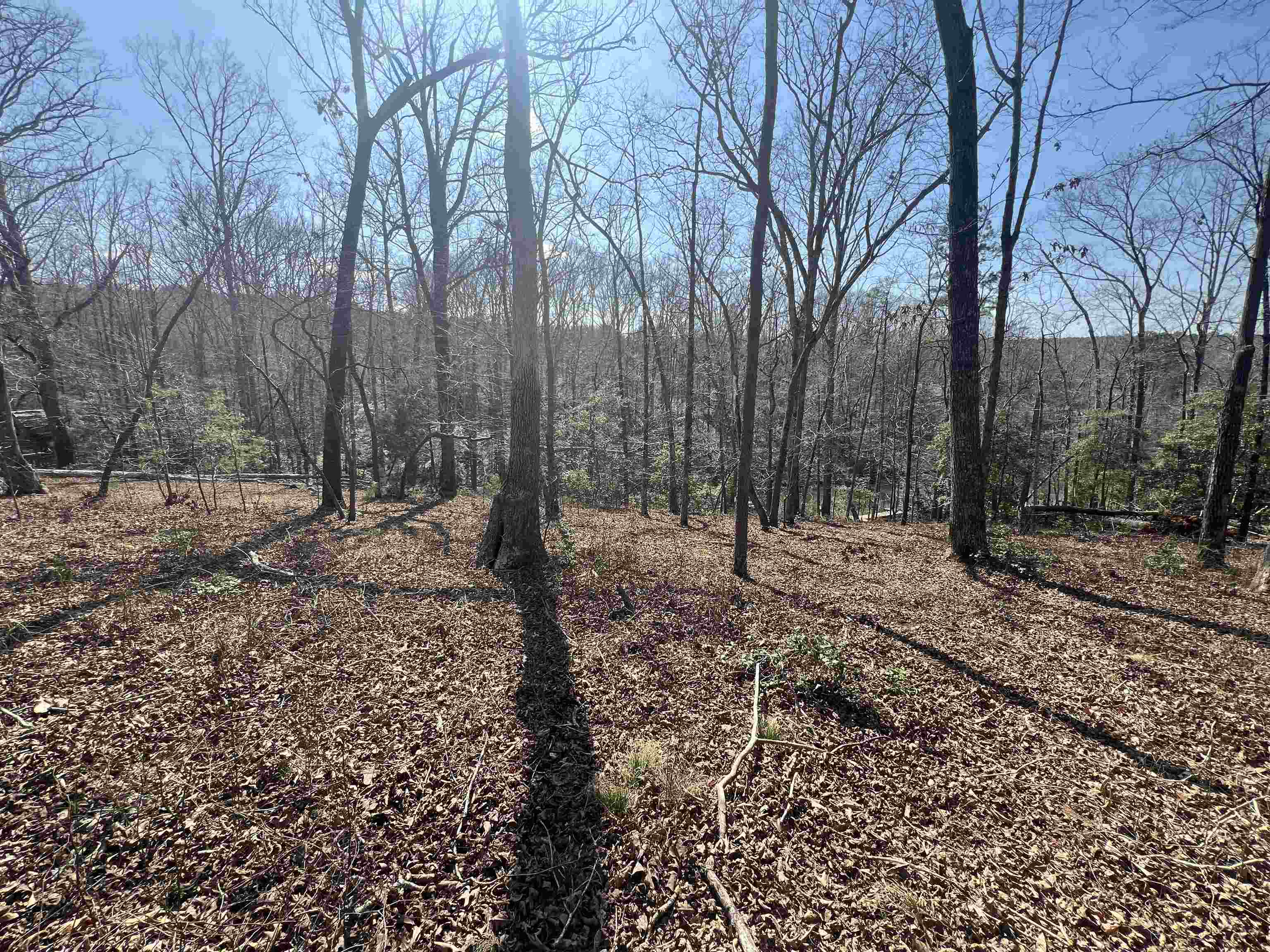 385 State Rd S-42-4394 Chesnee, SC 29323 - Photo 14 of 32 Gallery Image 14