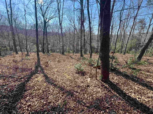 $145,000 | 385 State Rd S-42-4394, Chesnee, SC 29323