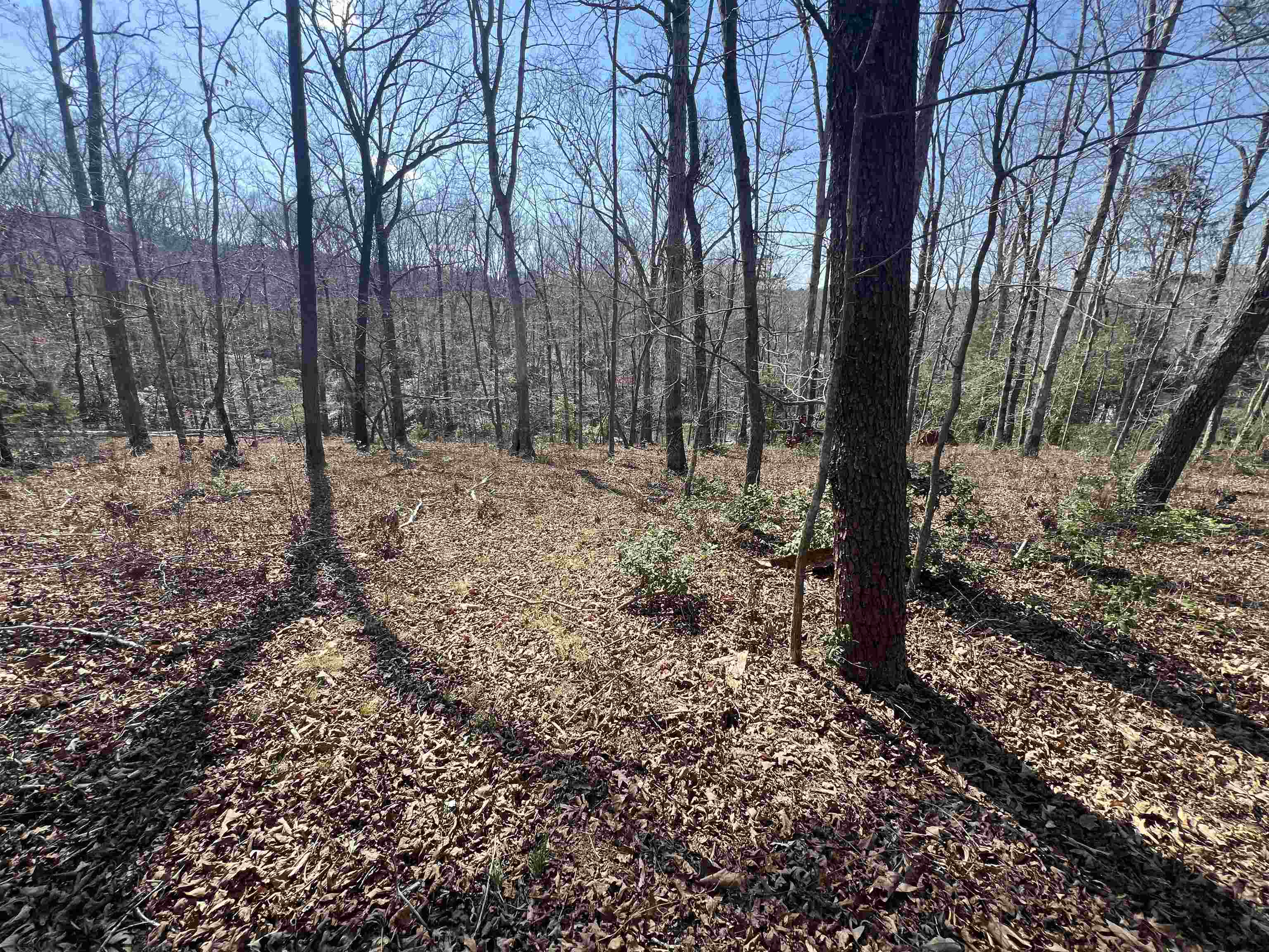 385 State Rd S-42-4394 Chesnee, SC 29323 - Photo 15 of 32 Gallery Image 15