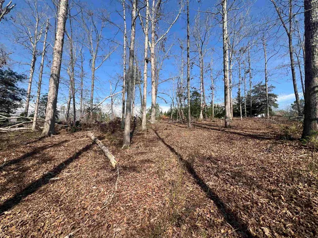 $145,000 | 385 State Rd S-42-4394, Chesnee, SC 29323