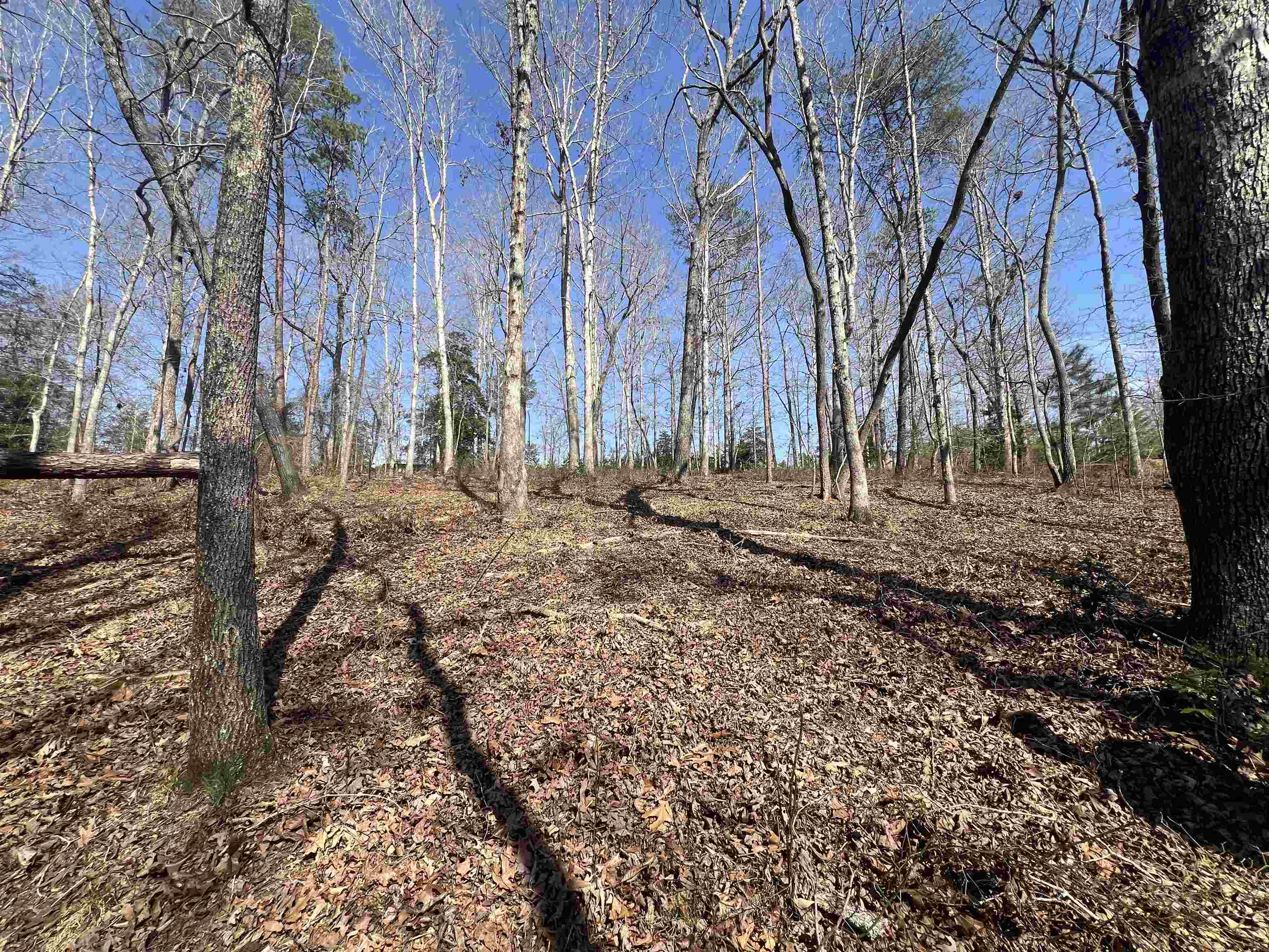 385 State Rd S-42-4394 Chesnee, SC 29323 - Photo 17 of 32 Gallery Image 17