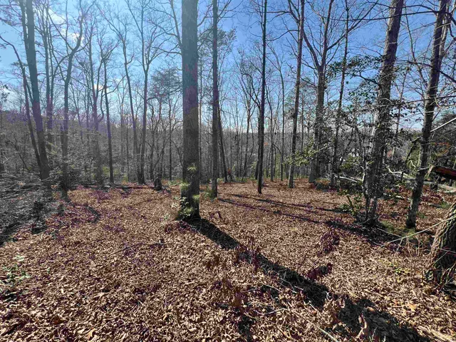 $145,000 | 385 State Rd S-42-4394, Chesnee, SC 29323