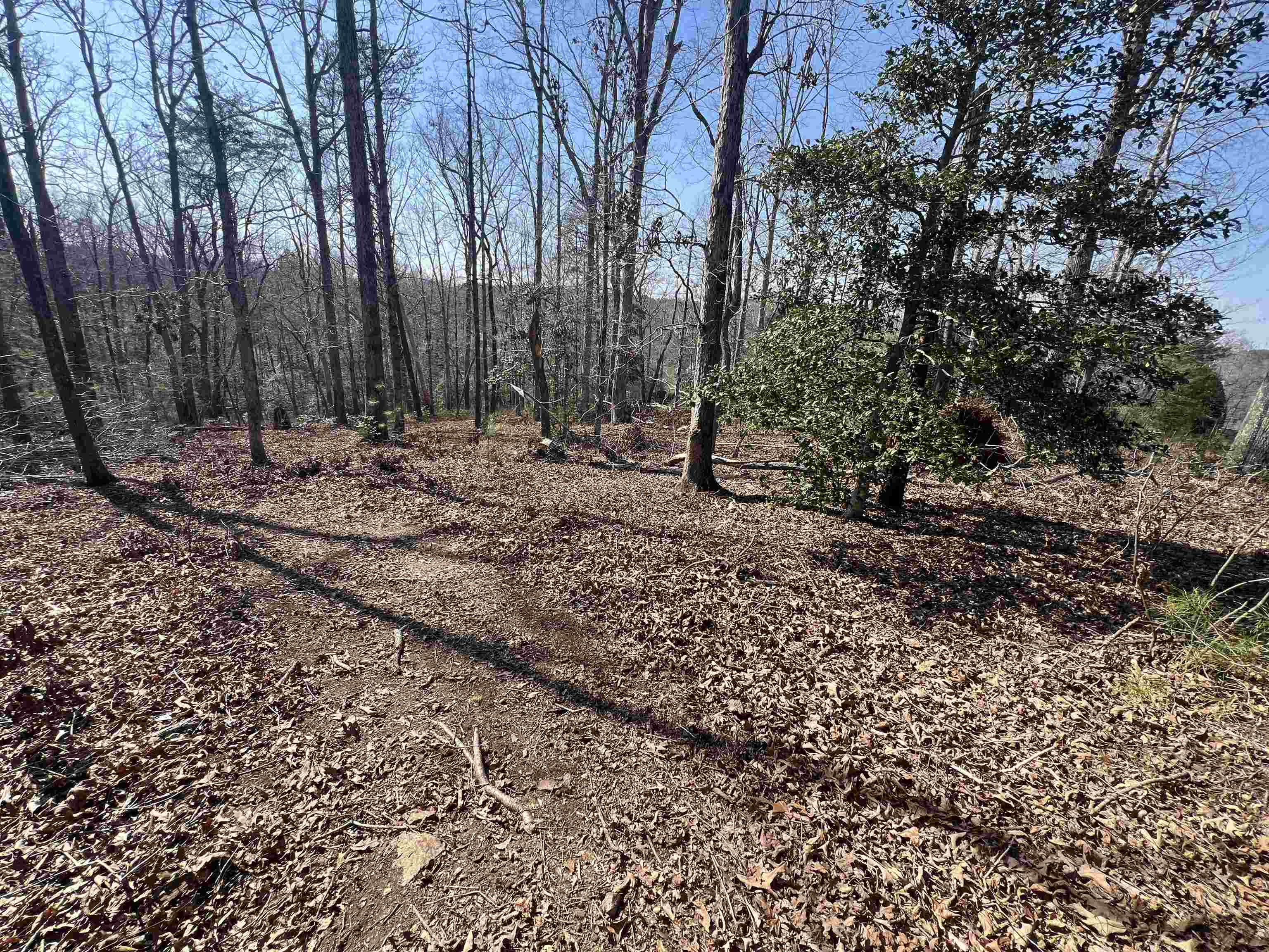 385 State Rd S-42-4394 Chesnee, SC 29323 - Photo 19 of 32 Gallery Image 19