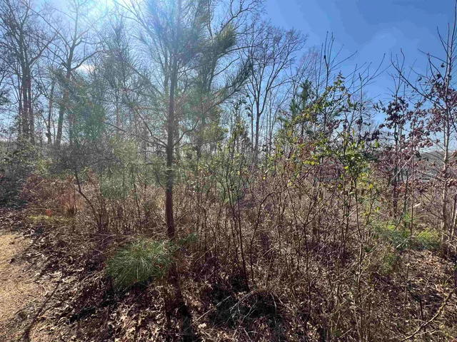 $145,000 | 385 State Rd S-42-4394, Chesnee, SC 29323