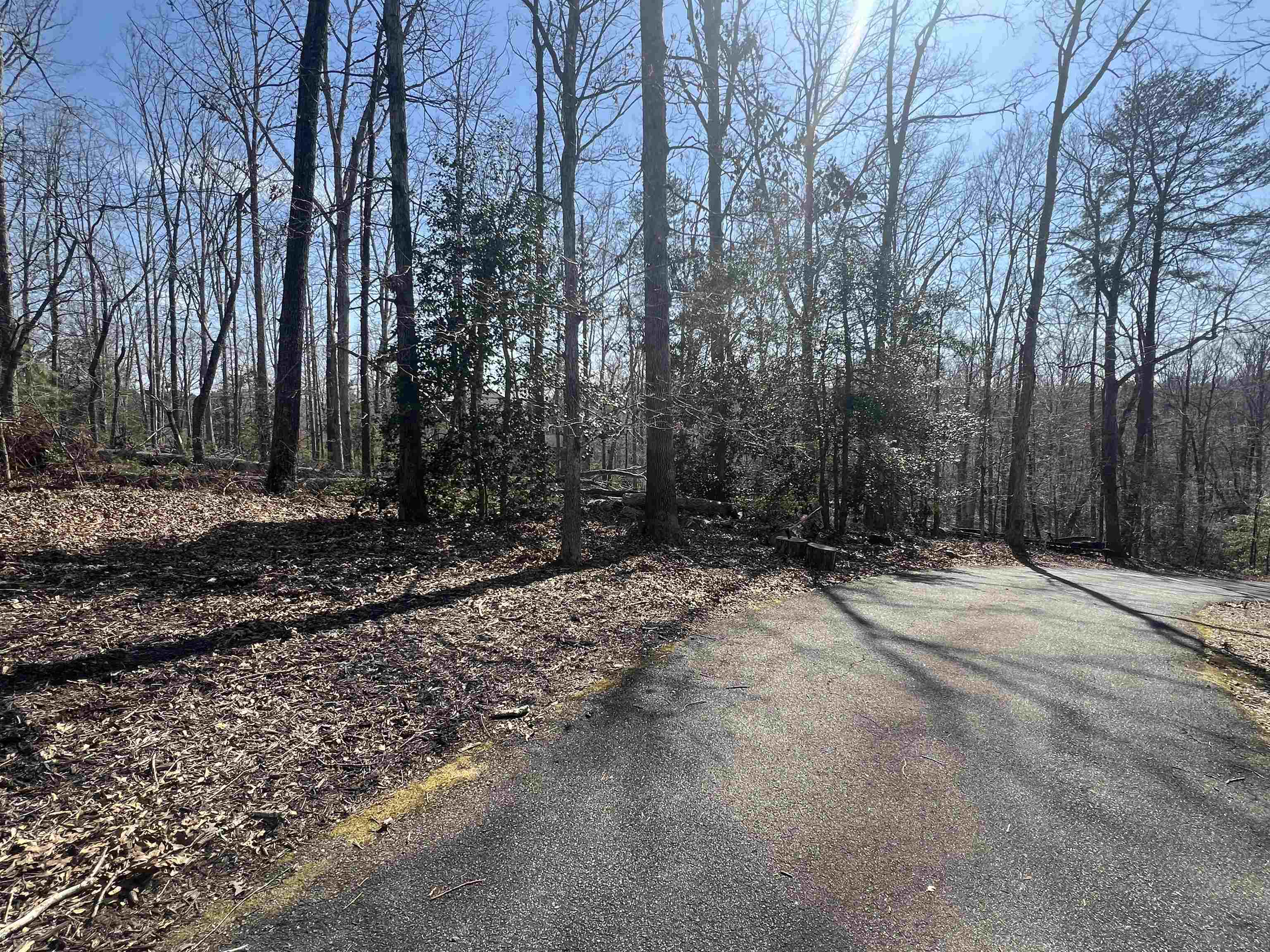 385 State Rd S-42-4394 Chesnee, SC 29323 - Photo 2 of 32 Gallery Image 2