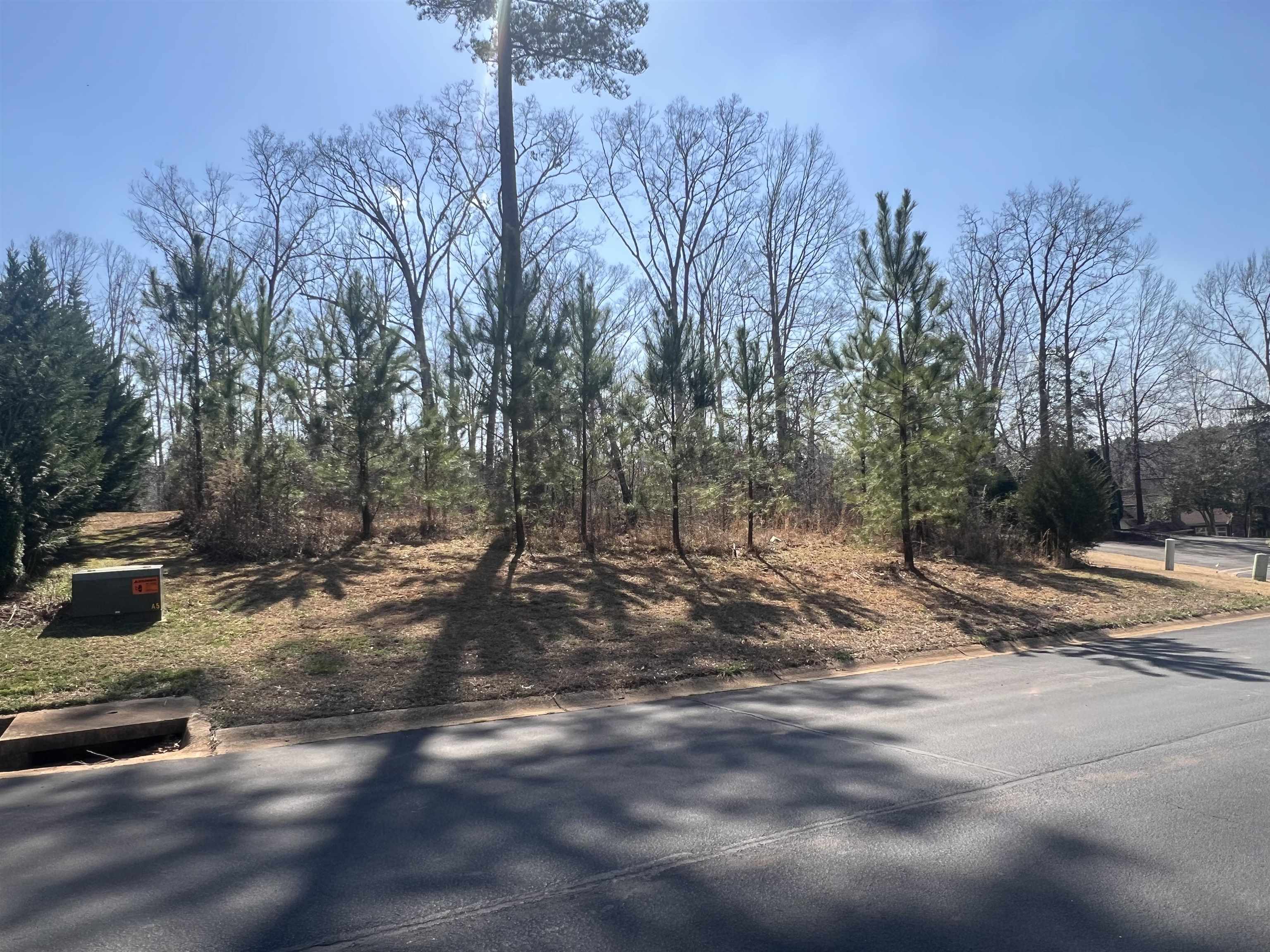 385 State Rd S-42-4394 Chesnee, SC 29323 - Photo 21 of 32 Gallery Image 21