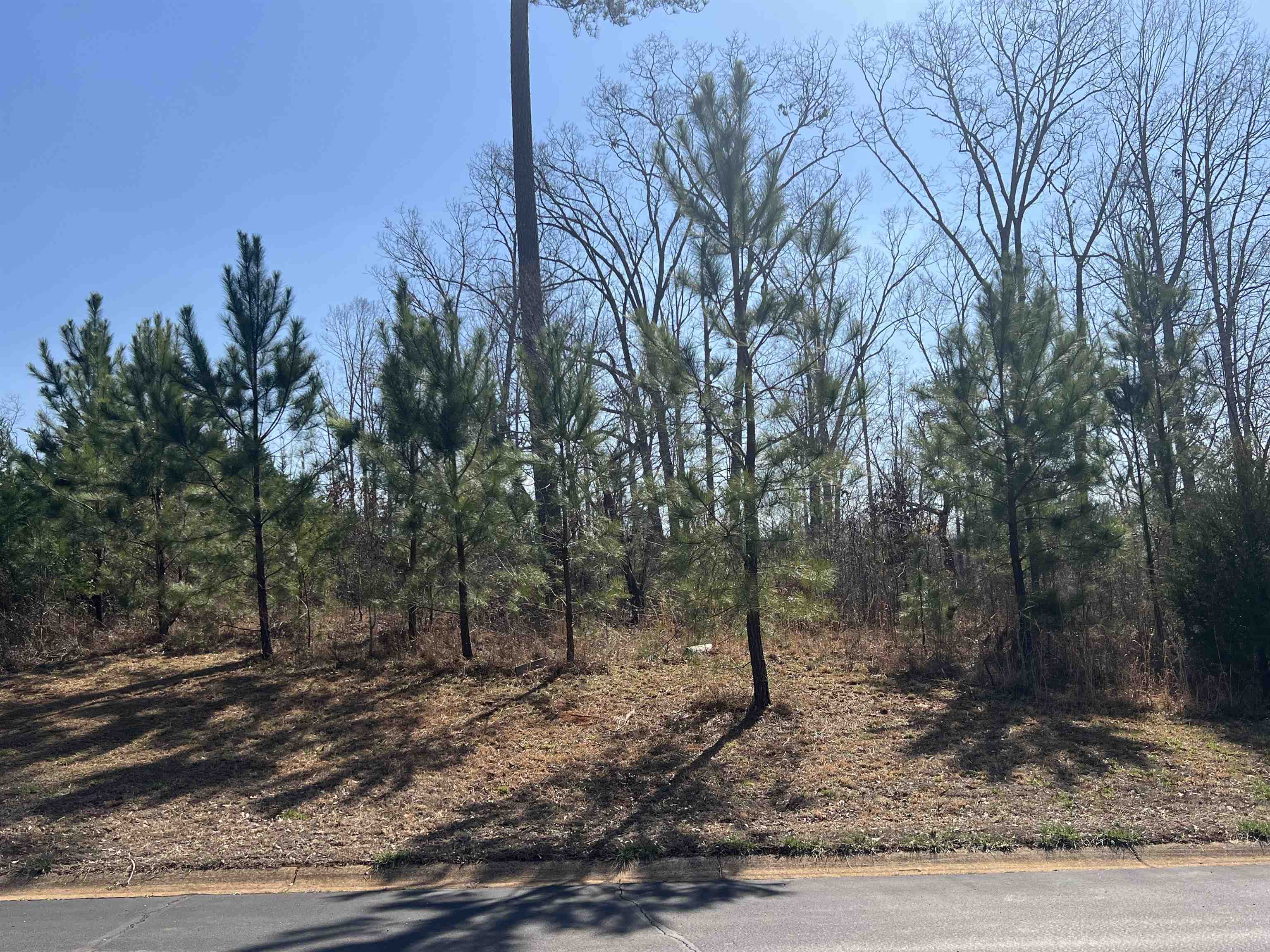385 State Rd S-42-4394 Chesnee, SC 29323 - Photo 23 of 32 Gallery Image 23