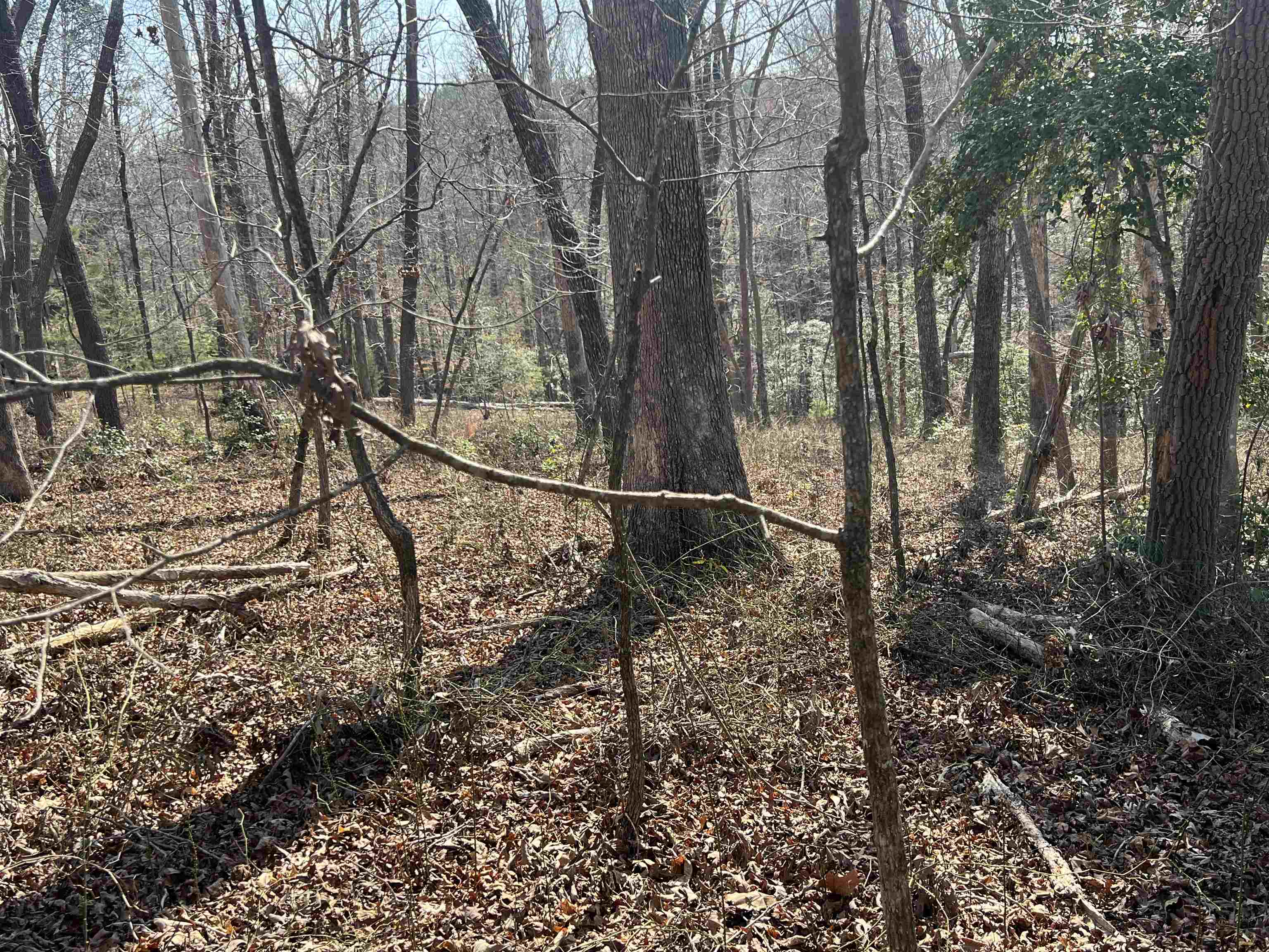 385 State Rd S-42-4394 Chesnee, SC 29323 - Photo 28 of 32 Gallery Image 28