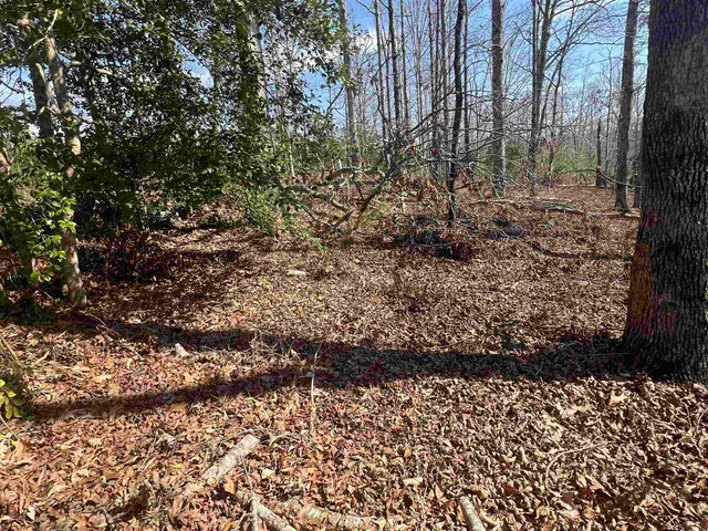 $145,000 | 385 State Rd S-42-4394, Chesnee, SC 29323