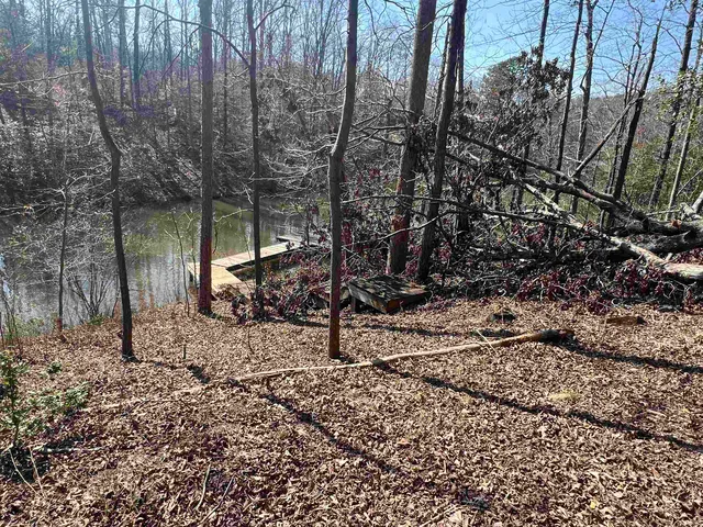 $145,000 | 385 State Rd S-42-4394, Chesnee, SC 29323