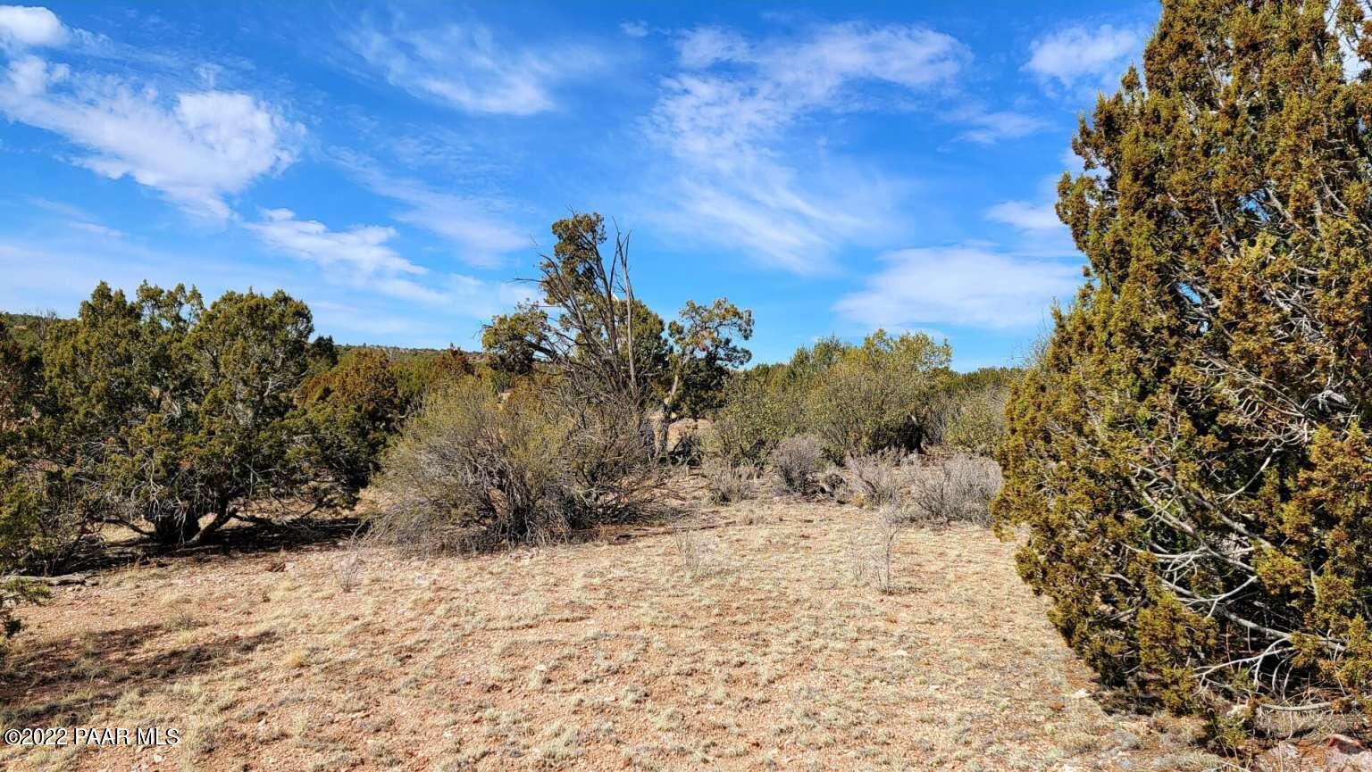 58655 Rana Road Seligman, AZ 86337 - Photo 4 of 9 Gutierrez.4