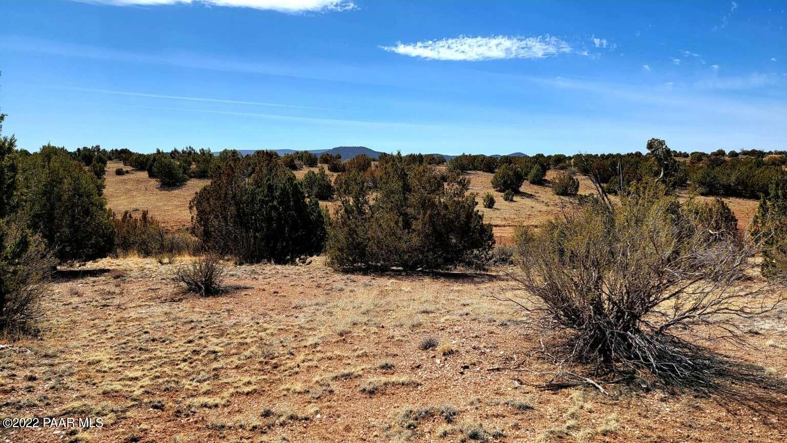 58655 Rana Road Seligman, AZ 86337 - Photo 5 of 9 Gutierrez.5