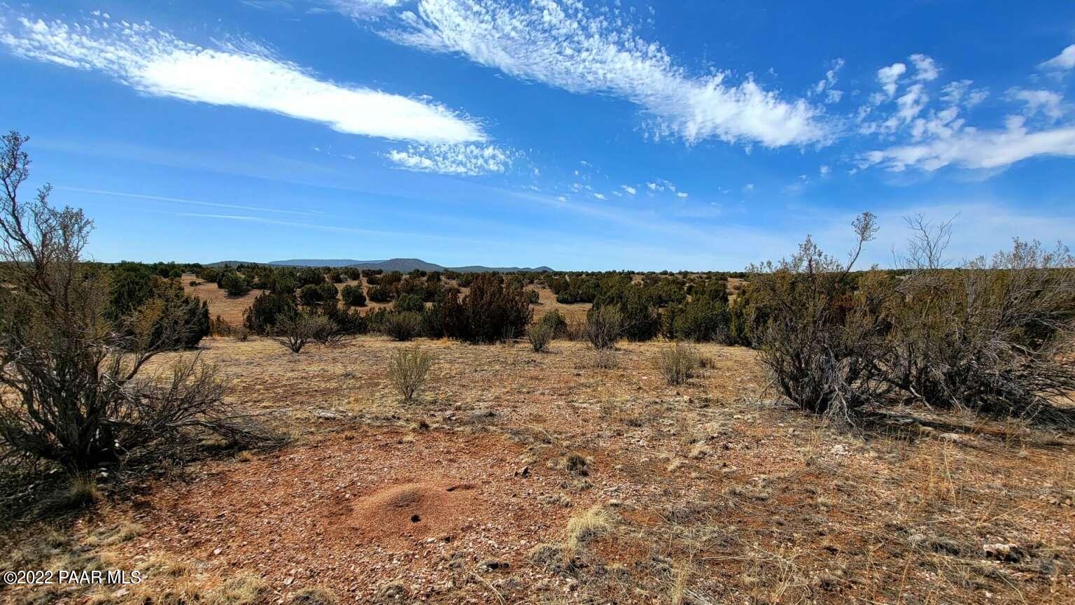 58655 Rana Road Seligman, AZ 86337 - Photo 6 of 9 Gutierrez.6