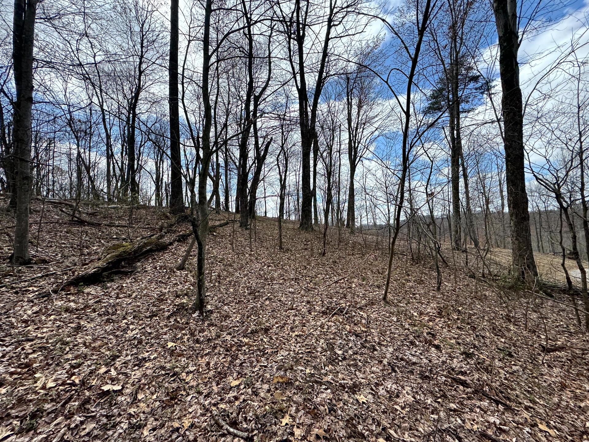 100 Golf Course Road, Unit TRACT 12 SKYLINE ACRES) Waverly, OH 45690 - Photo 34 of 44 CT-34