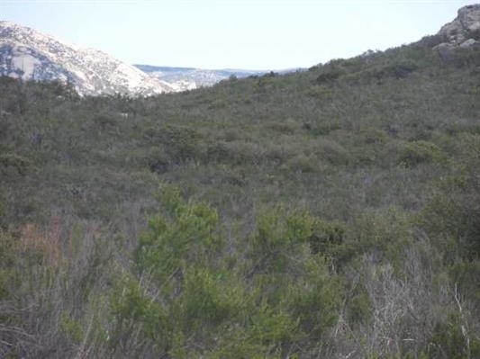 9-acres Star Ranch Rd 9.03 Acres Campo, CA 91906 - Photo 3 of 3