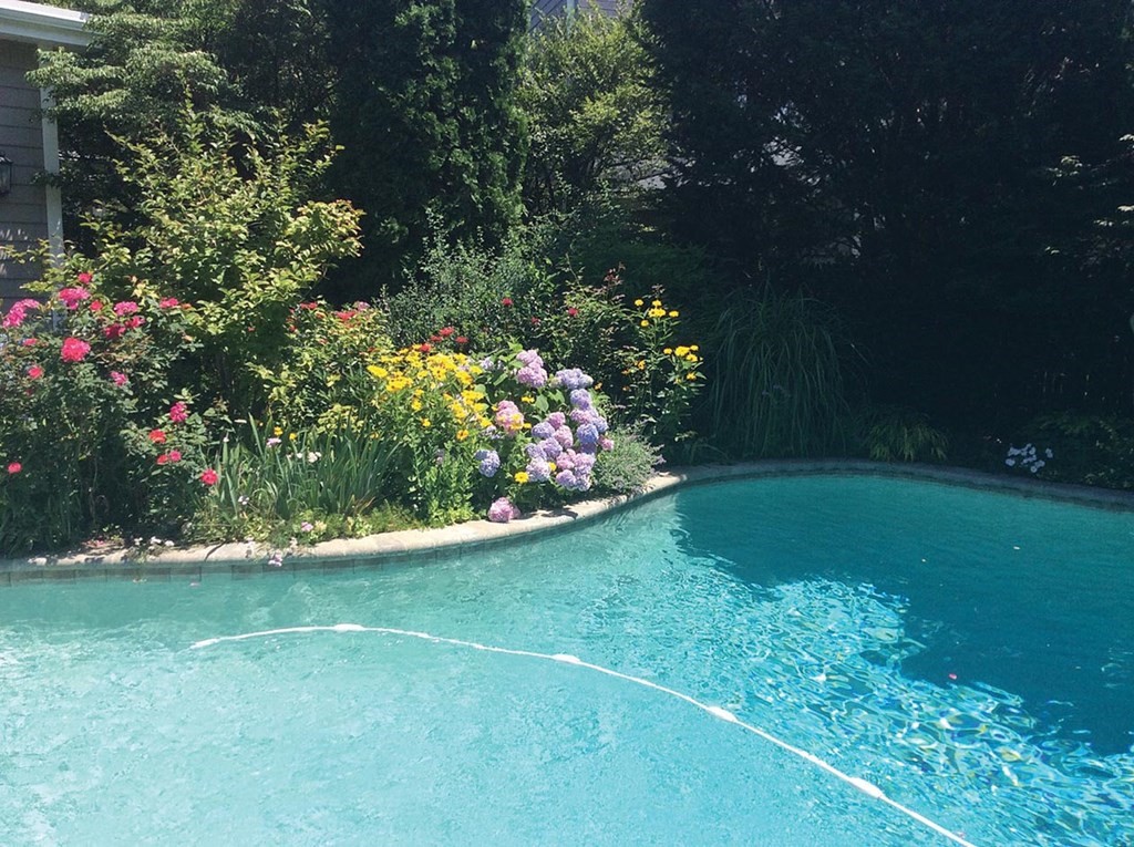 26 Islington Road Newton, MA 02466 - Photo 17 of 18 a view of a garden with flowers and tree