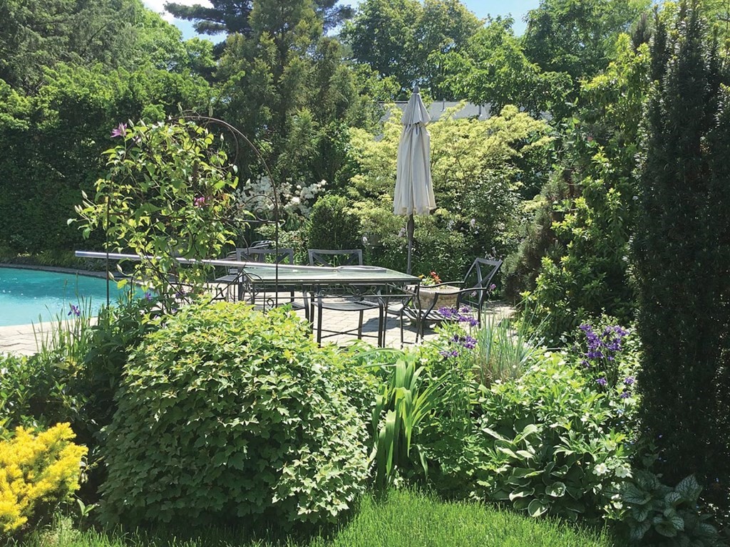 26 Islington Road Newton, MA 02466 - Photo 18 of 18 a view of a garden with plants