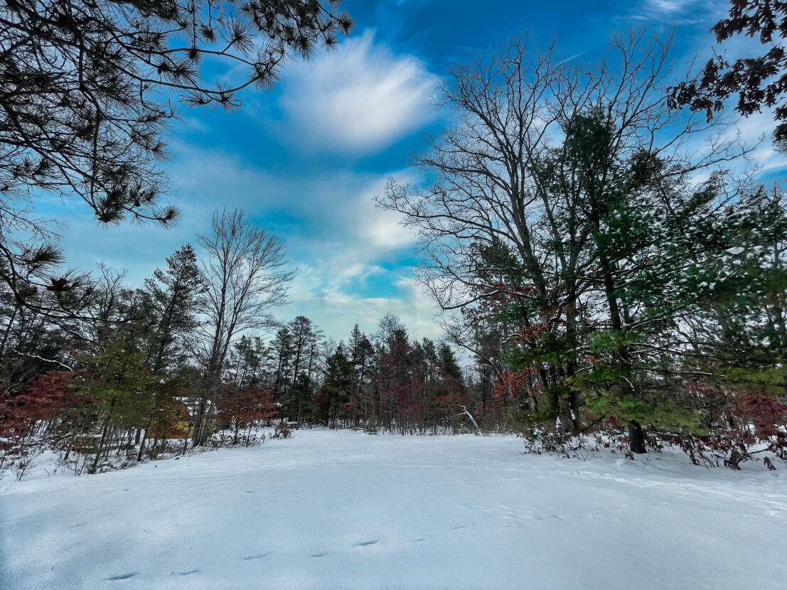 3729 Chase Bridge Road Grayling, MI 49738 - Photo 1 of 15 Gallery Image 1