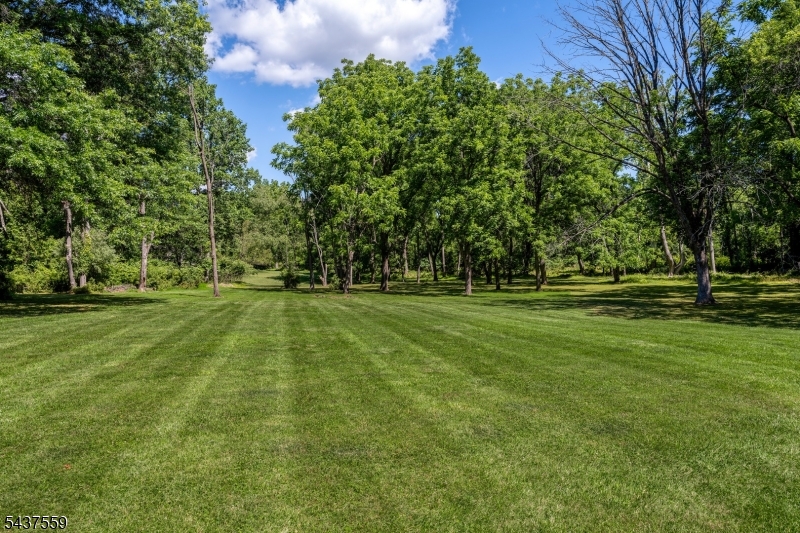 20 Sand Hill Road Flemington, NJ 08822 - Photo 6 of 32