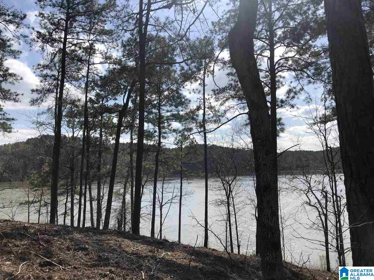 Stillwaters Trail Sylacauga, AL 35151 - Photo 22 of 30