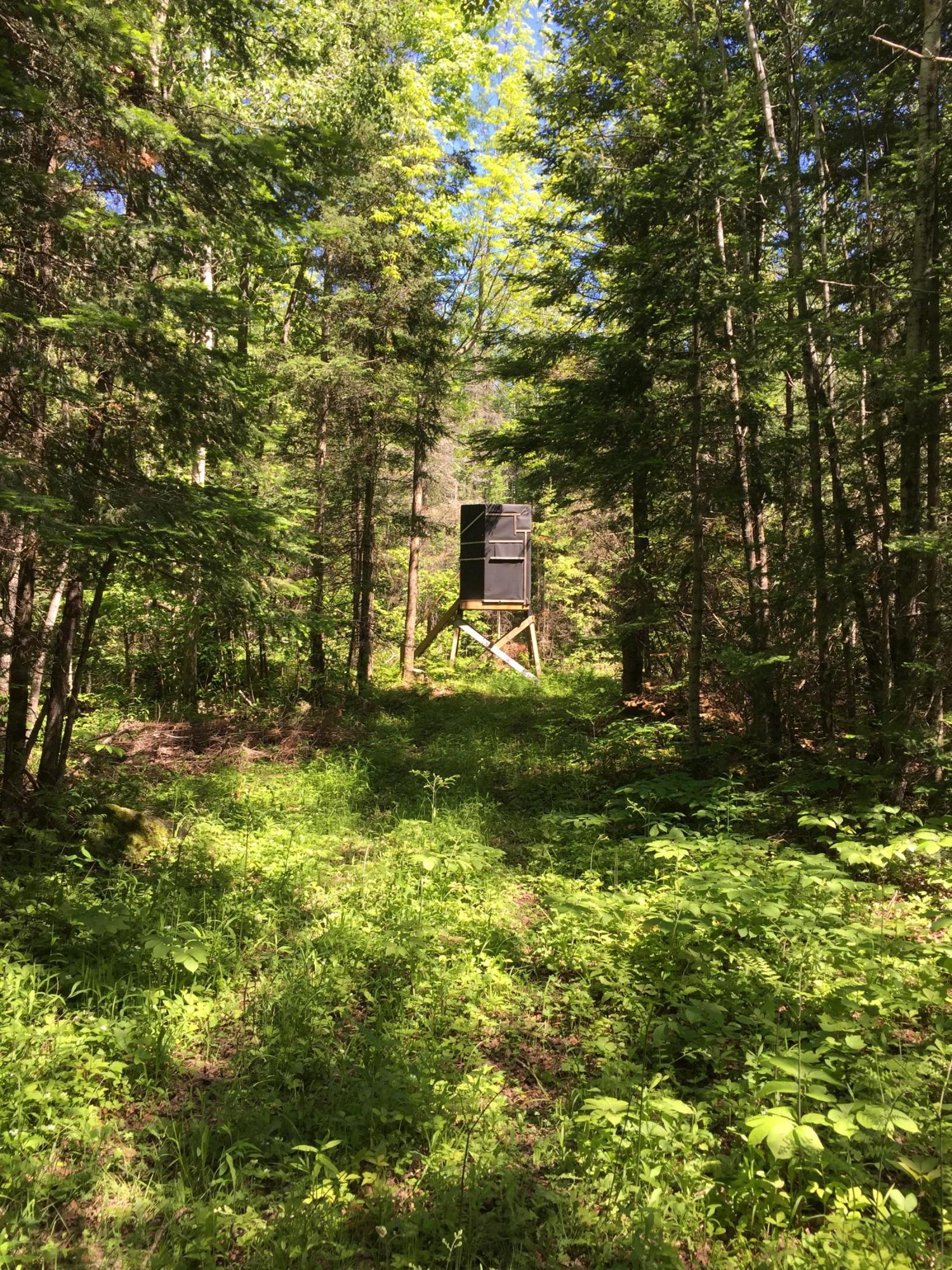 23 East 23 Mile Road Pickford, MI 49774 - Photo 11 of 19 Gallery Image 11
