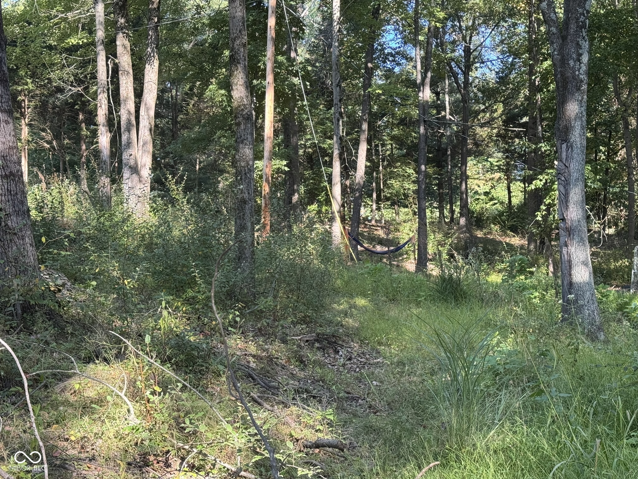 7447 Hackberry Drive Nineveh, IN 46164 - Photo 11 of 24