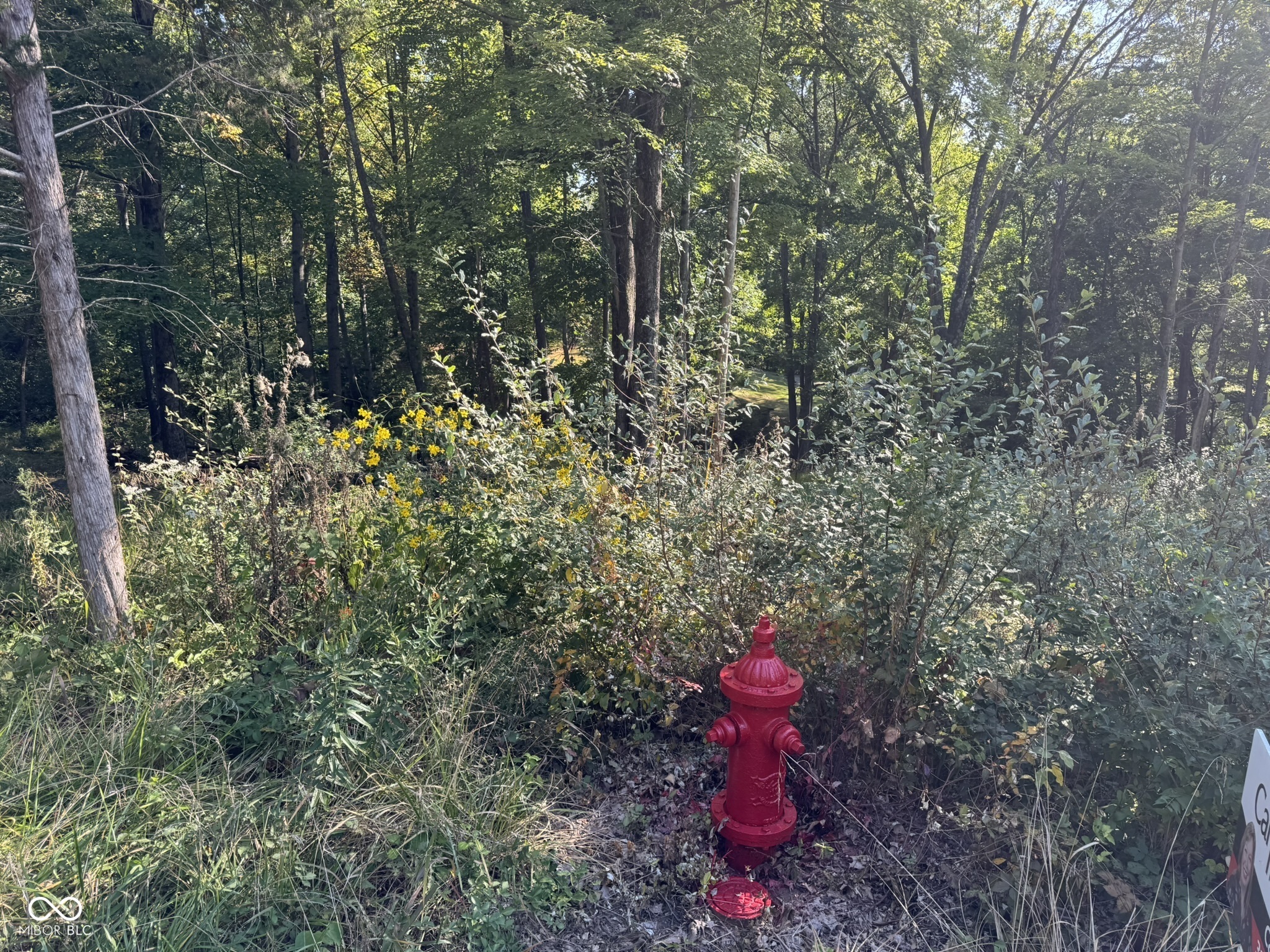 7447 Hackberry Drive Nineveh, IN 46164 - Photo 12 of 24