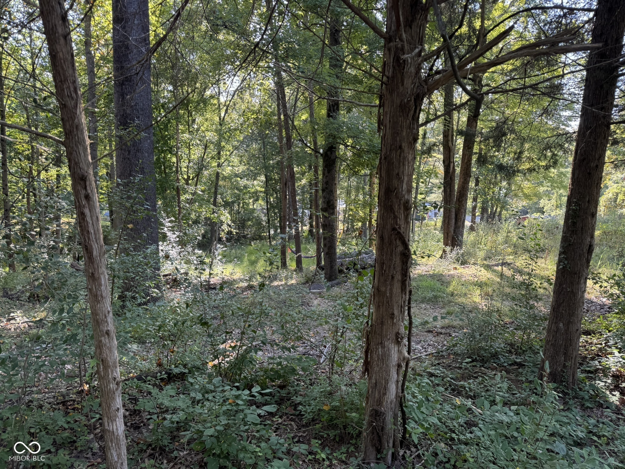 7447 Hackberry Drive Nineveh, IN 46164 - Photo 13 of 24