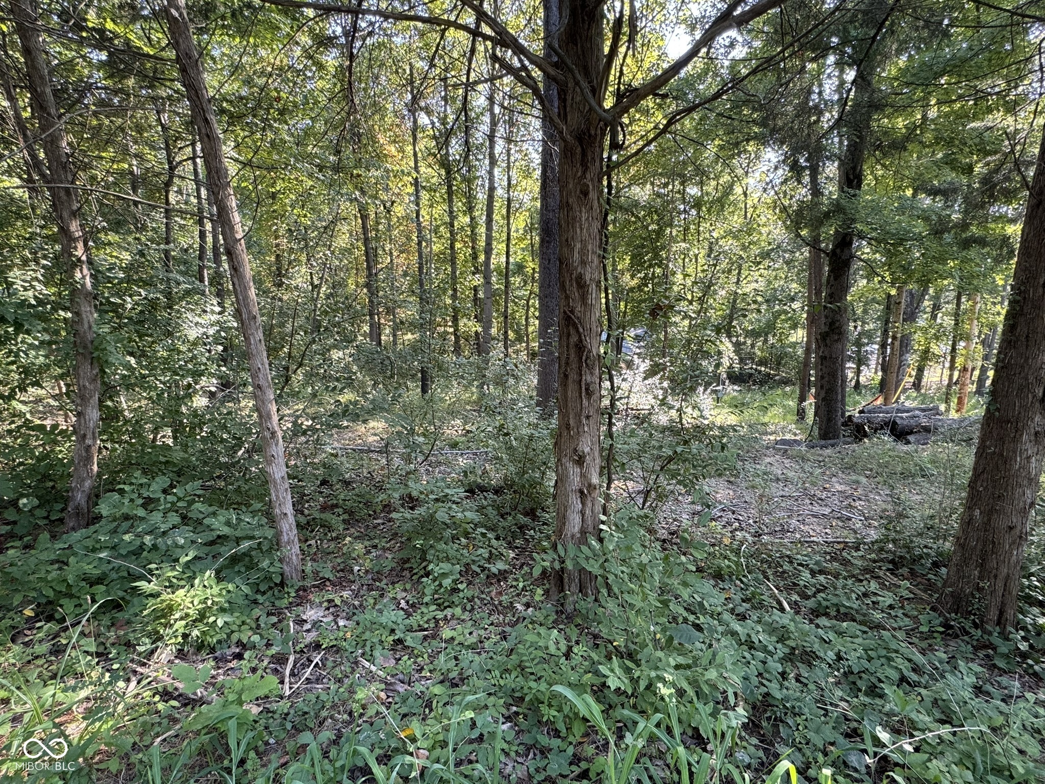 7447 Hackberry Drive Nineveh, IN 46164 - Photo 15 of 24