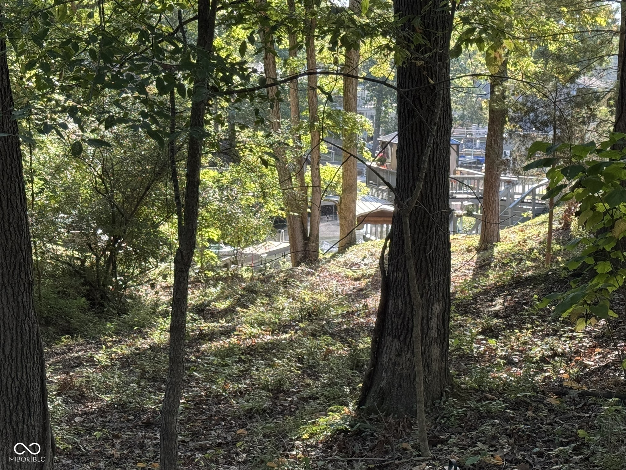 7447 Hackberry Drive Nineveh, IN 46164 - Photo 7 of 24