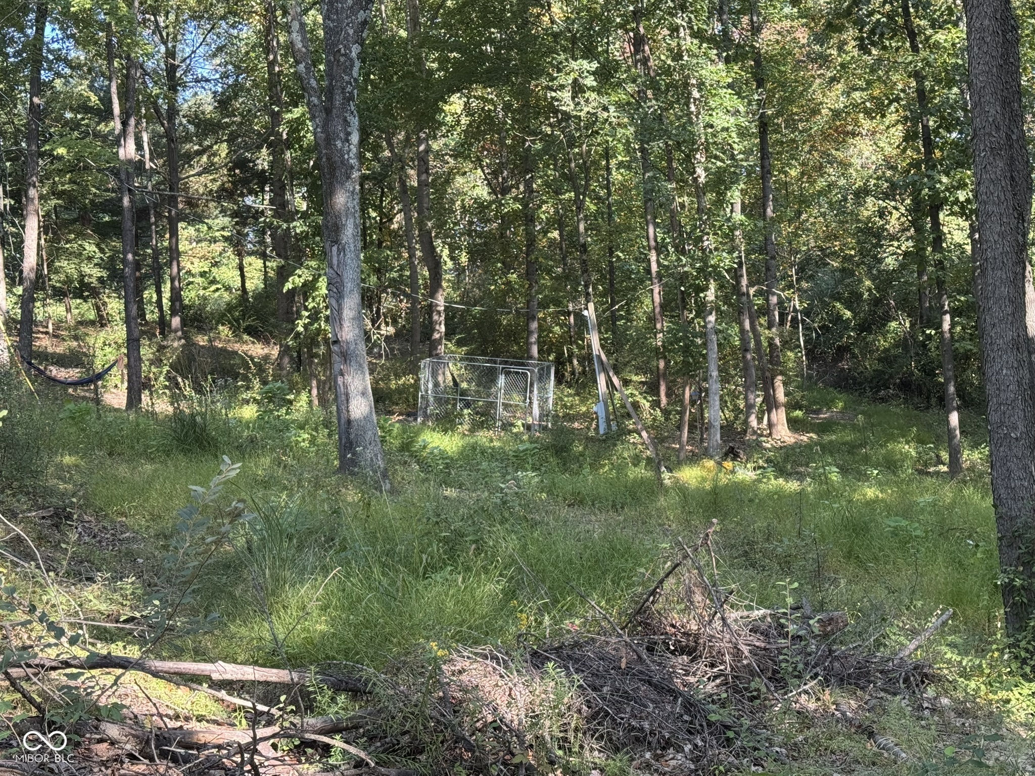 7447 Hackberry Drive Nineveh, IN 46164 - Photo 9 of 24