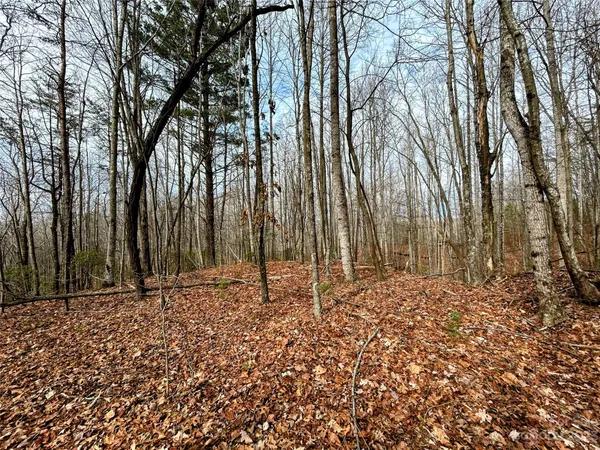 $45,200 | Lot 14 Rhododendron Drive, Saluda, NC 28773