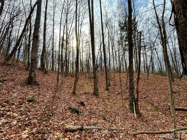 $45,200 | Lot 14 Rhododendron Drive, Saluda, NC 28773