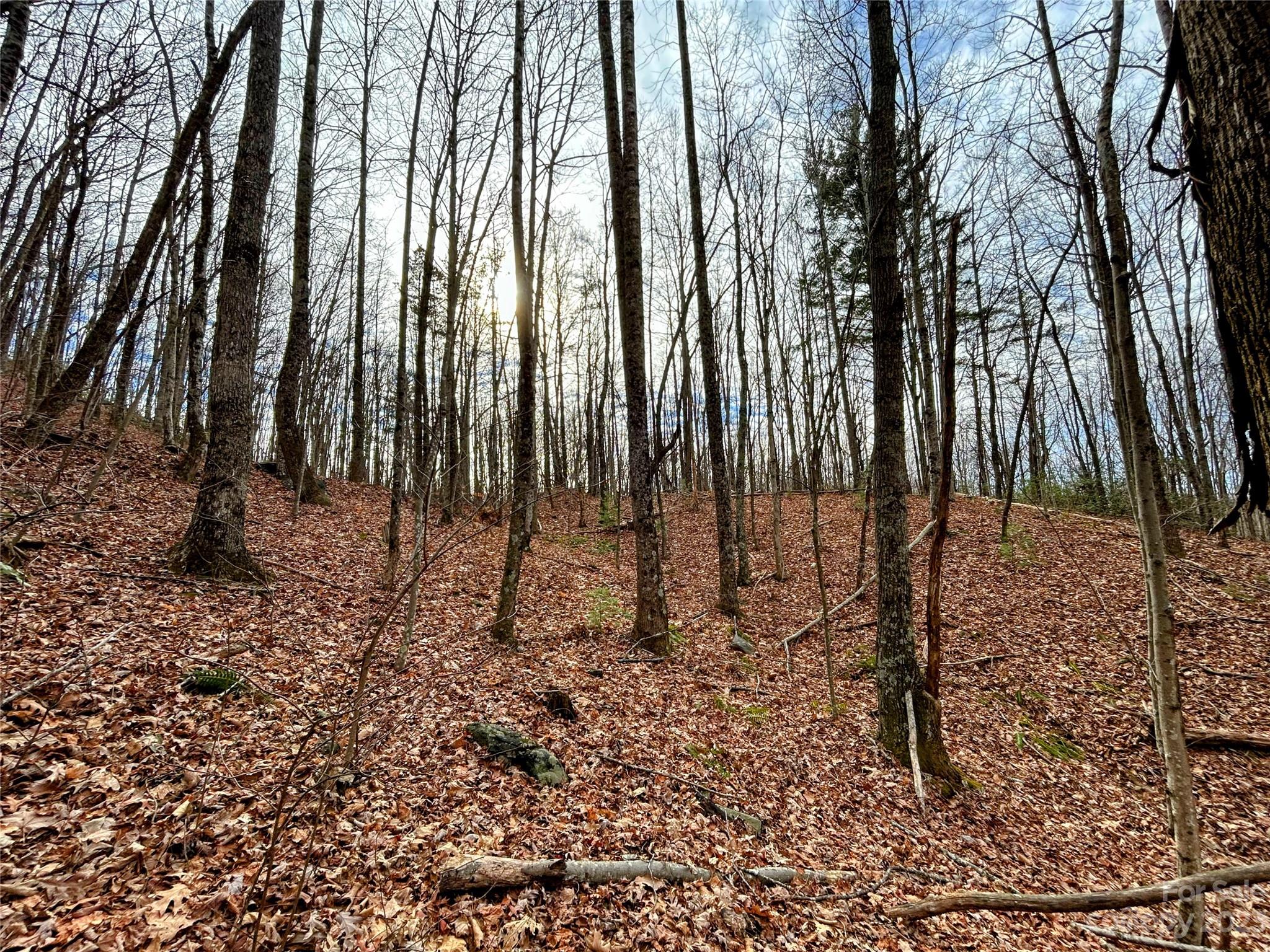 Lot 14 Rhododendron Drive Saluda, NC 28773 - Photo 11 of 16