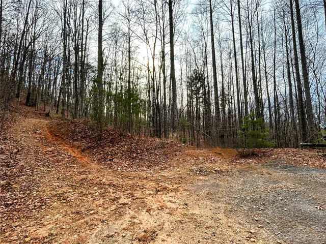 $45,200 | Lot 14 Rhododendron Drive, Saluda, NC 28773