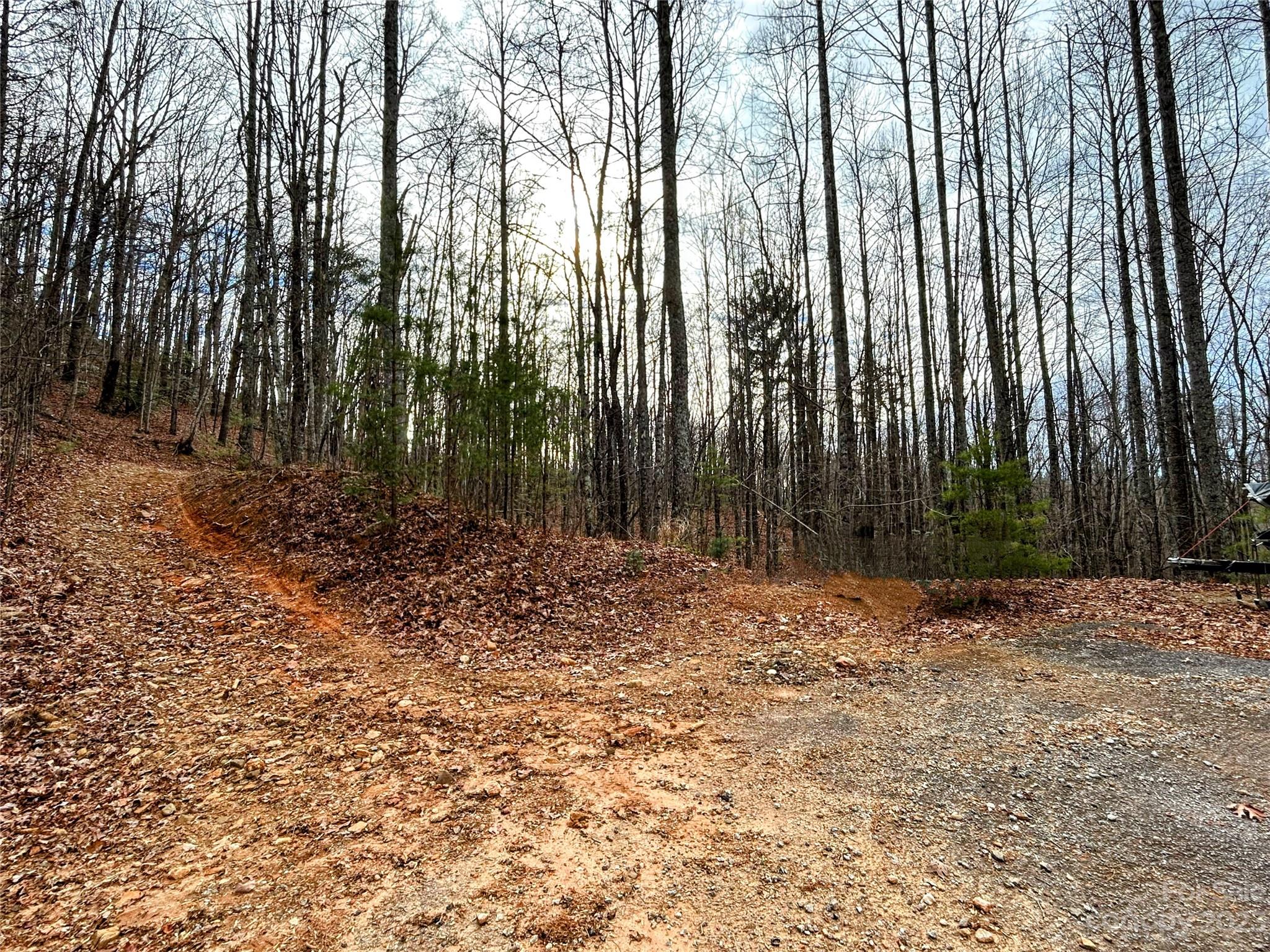 Lot 14 Rhododendron Drive Saluda, NC 28773 - Photo 12 of 16
