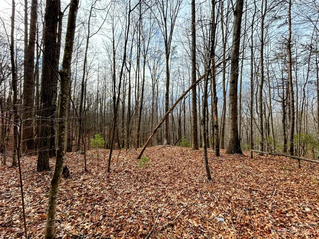 $45,200 | Lot 14 Rhododendron Drive, Saluda, NC 28773