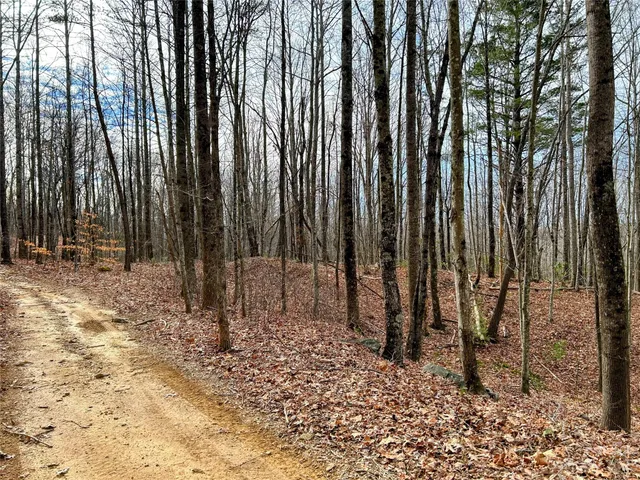 $45,200 | Lot 14 Rhododendron Drive, Saluda, NC 28773