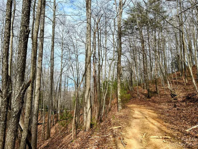 $45,200 | Lot 14 Rhododendron Drive, Saluda, NC 28773