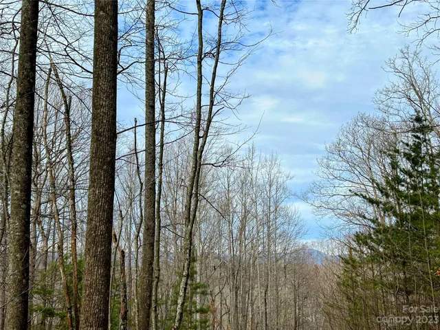 $45,200 | Lot 14 Rhododendron Drive, Saluda, NC 28773