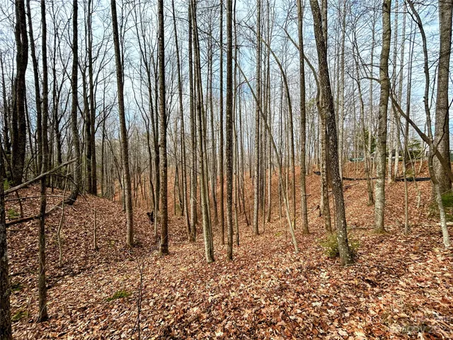 $45,200 | Lot 14 Rhododendron Drive, Saluda, NC 28773