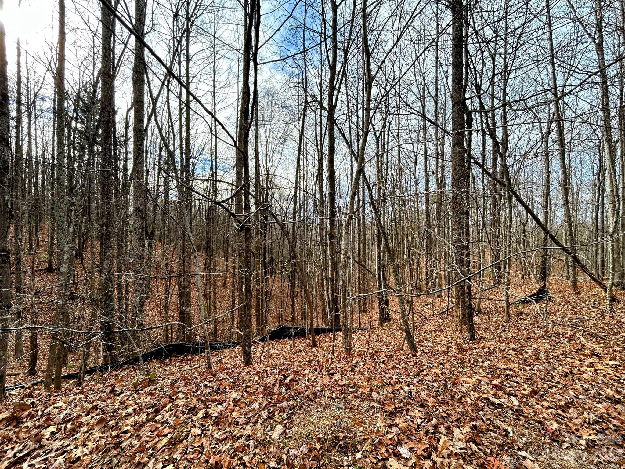 Lot 14 Rhododendron Drive Saluda, NC 28773 - Photo 8 of 16