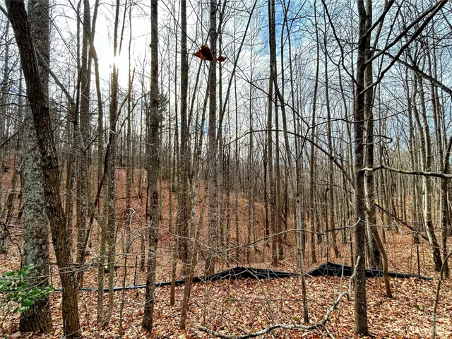 $45,200 | Lot 14 Rhododendron Drive, Saluda, NC 28773