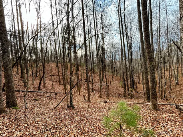 $45,200 | Lot 14 Rhododendron Drive, Saluda, NC 28773