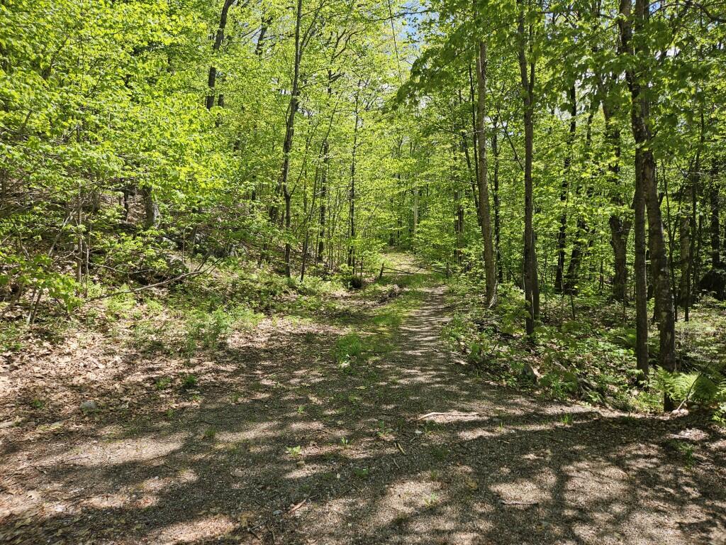 21 Jewett Way Hanover, ME 04237 - Photo 56 of 57 20260526_115211