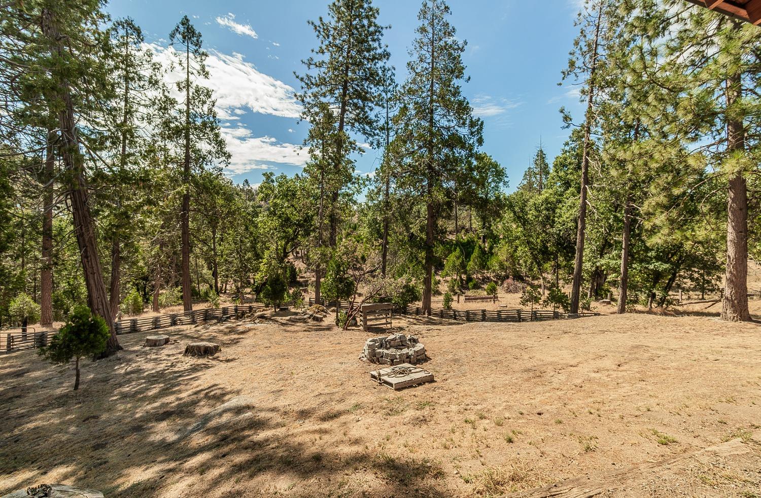 33288 Linson Road Tollhouse, CA 93667 - Photo 29 of 54 a view of snow on the side of the road