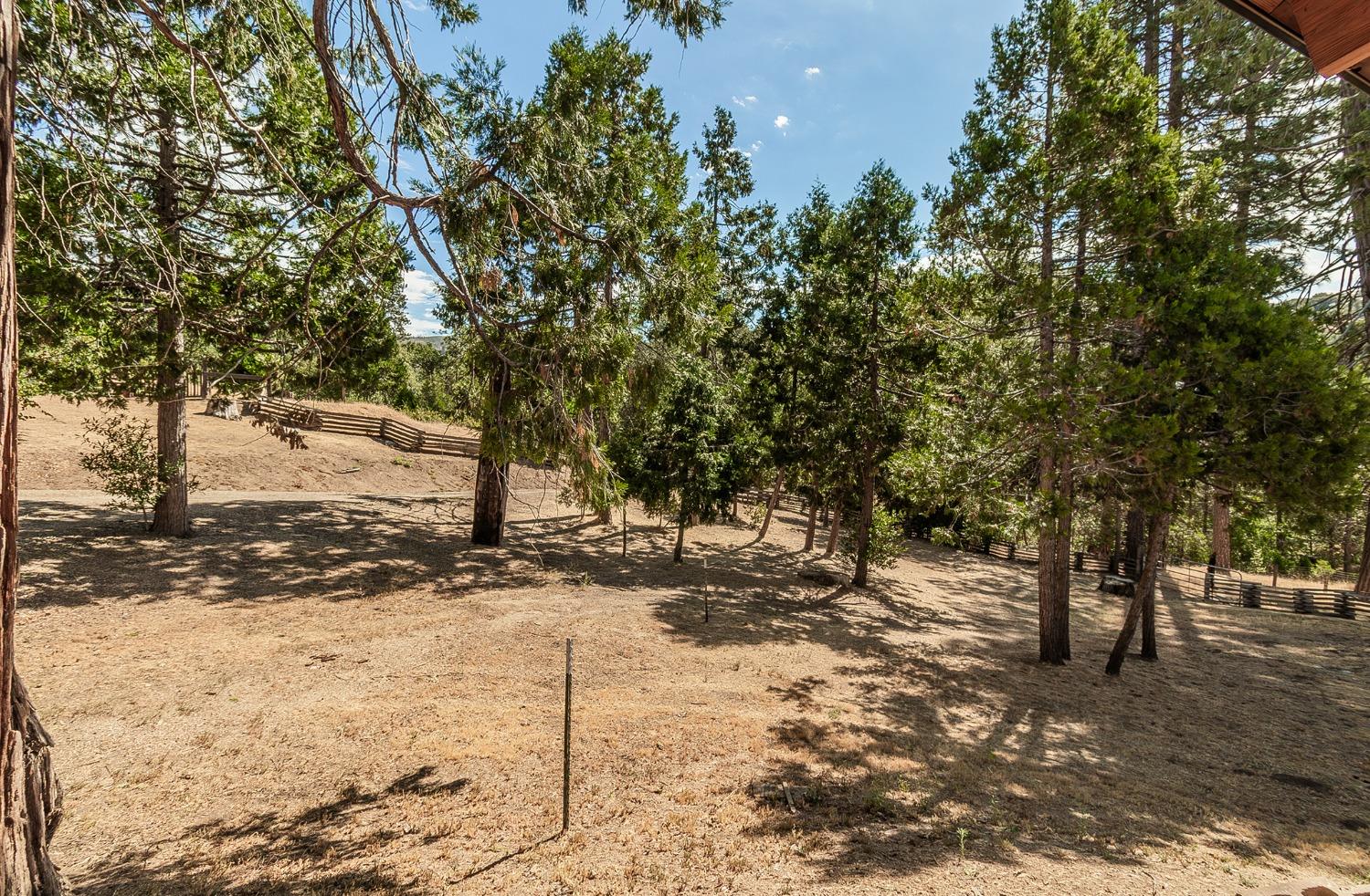 33288 Linson Road Tollhouse, CA 93667 - Photo 30 of 54 a view of road and trees