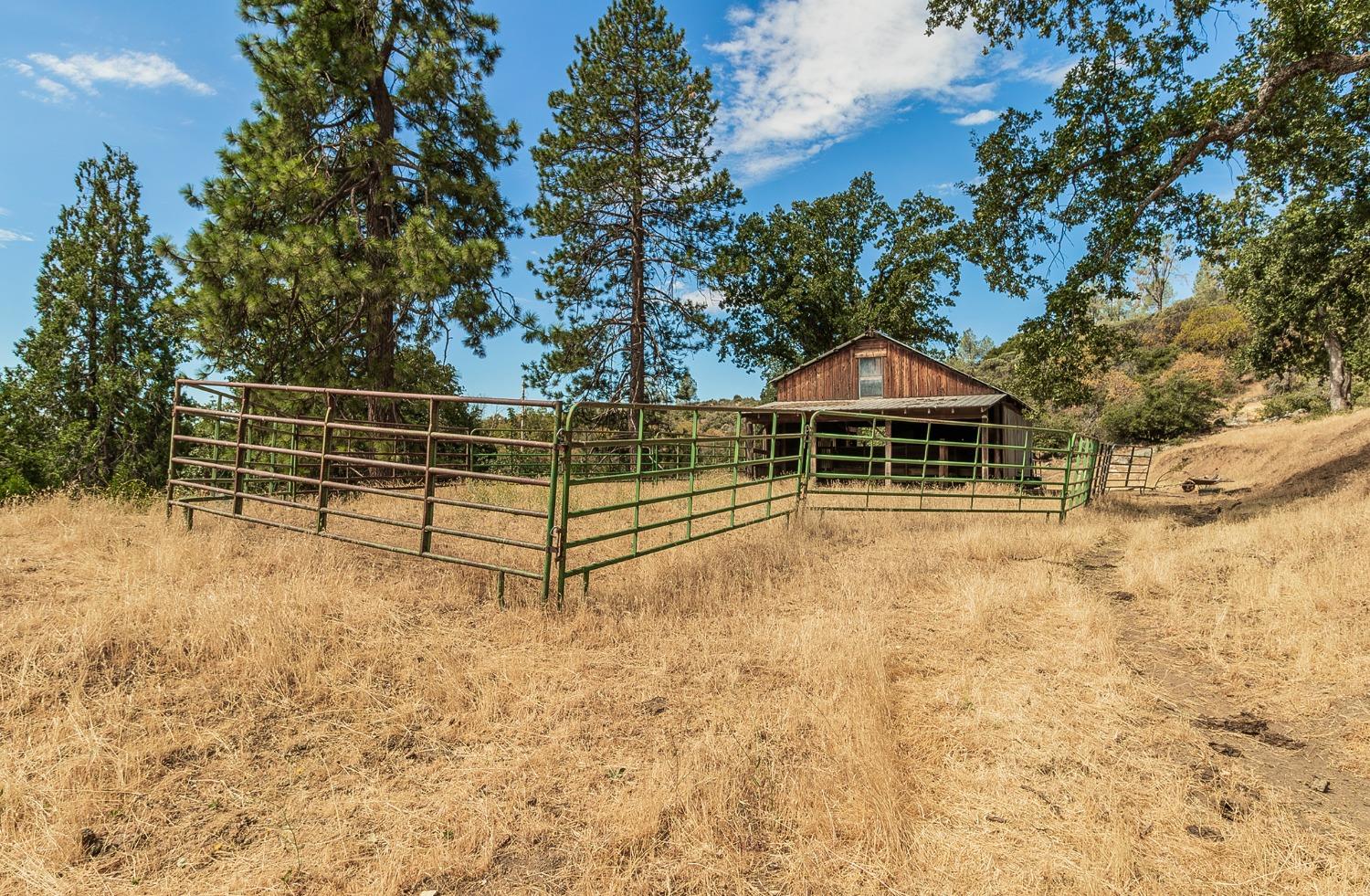 33288 Linson Road Tollhouse, CA 93667 - Photo 37 of 54 a backyard of a house with table and chairs