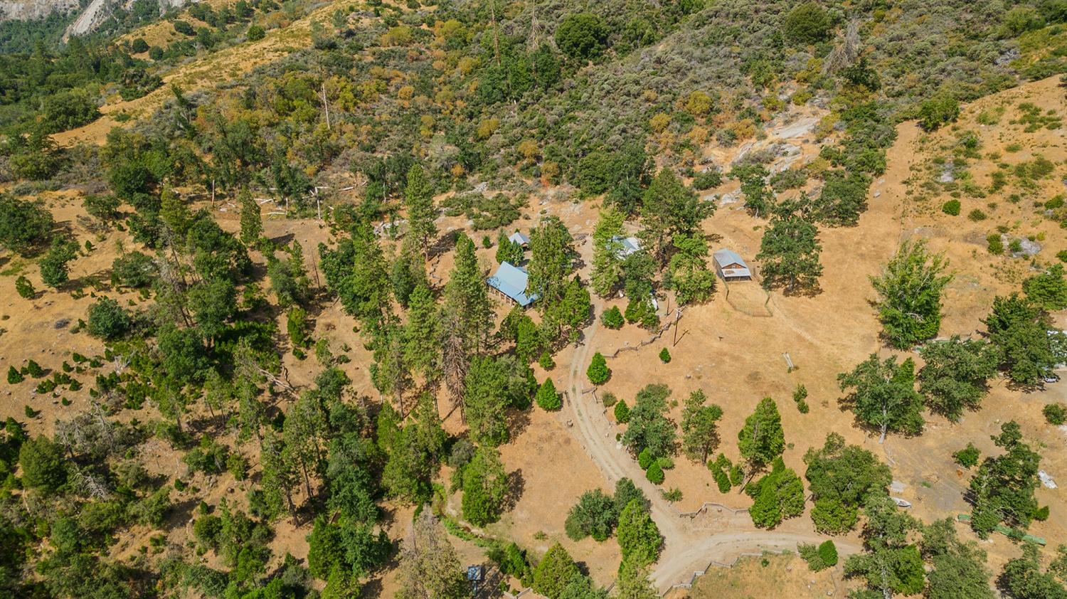 33288 Linson Road Tollhouse, CA 93667 - Photo 44 of 54 a view of a tree in a yard