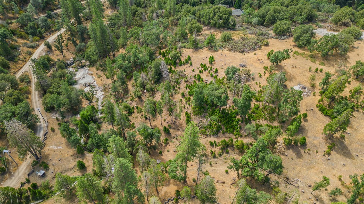 33288 Linson Road Tollhouse, CA 93667 - Photo 47 of 54 a view of a forest with a tree
